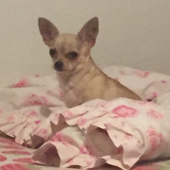 LIKE TO BOOKMARK CLOSET ⛓ don’t forget 2 make offr - Picture 2 of 3